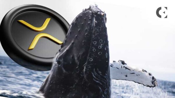 XRP鲸鱼继续增持：单日积累2000万枚